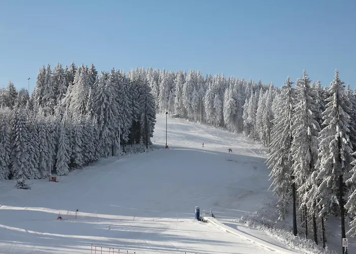 Haus Flora Vendégház